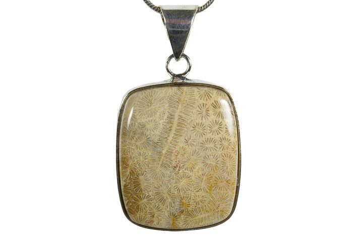 Polished Indonesian Fossil Coral Pendant (Necklace) #345277